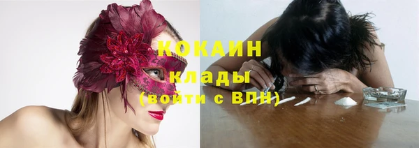 бошки Заводоуковск