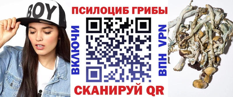 Купить где Всеволожск Галлюциногенные грибы прущие грибы